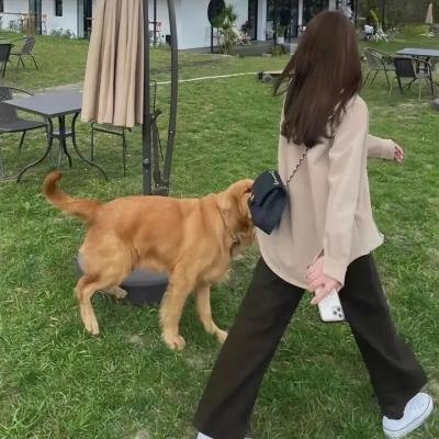 肥佬教授